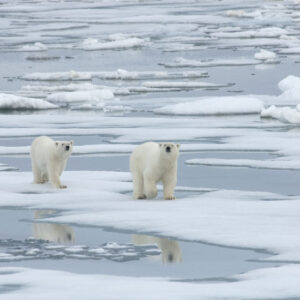 Ignoring the Effects of Climate Change Image